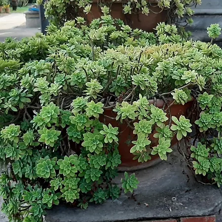 A Casa Di Tetta Telese