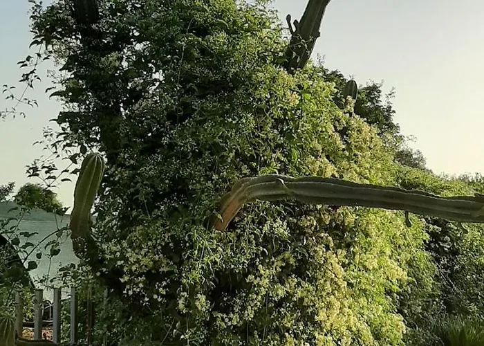 A Casa Di Tetta 3* Telese